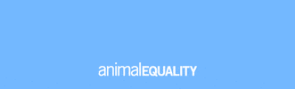 Animal Equality Germany GIF
