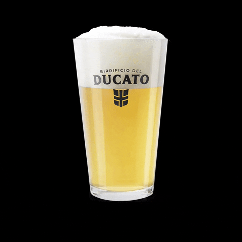 birredelducato birra birra artigianale bicchiere ducato GIF