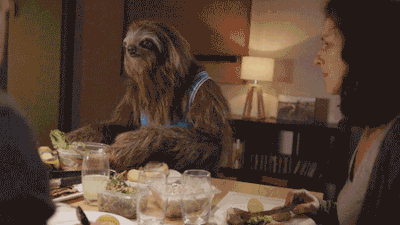Stoner Sloth GIFs - Find & Share on GIPHY