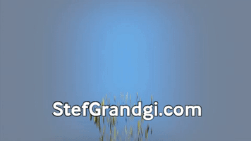 Video Internet GIF