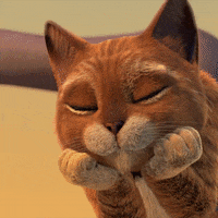 Cartoon-cat GIFs - Get the best GIF on GIPHY