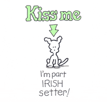 St Patricks Day Ireland GIF by Chippy the Dog