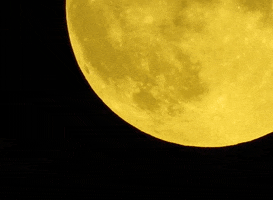 Blue Moon GIF by Storyful