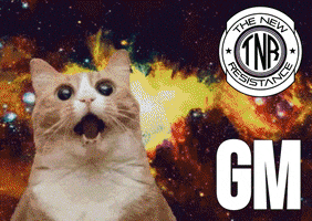 Good Morning Gm GIF by The New Resistance