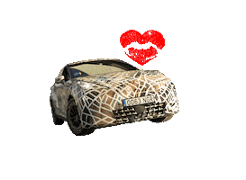 Raval Sticker by CUPRA Official