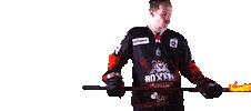 Gabriel Desjardins Sticker by Boxers de Bordeaux