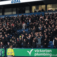 Sport Soccer GIF by Bolton Wanderers FC