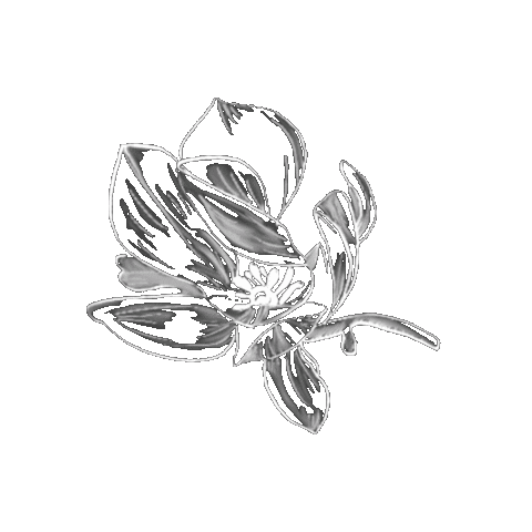 Flower Plant Sticker