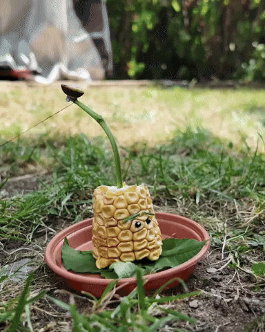 Plants Vs Zombies GIF