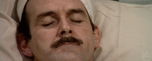 https://media1.giphy.com/media/kkDLn3rC7dAc0/source.gif