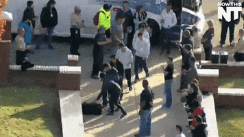 200.gif?cid=fc005b08aff32fd46dc88b83a07e73c5381d04696ae91894&rid=200.gif&ct=g