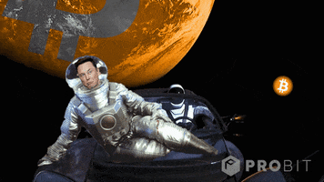 Elon Musk Mind Blown GIF by ProBit Exchange