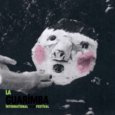 Shocked Animation GIF by La Guarimba Film Festival