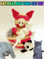 Cat Lady Cats GIF by TeaCosyFolk