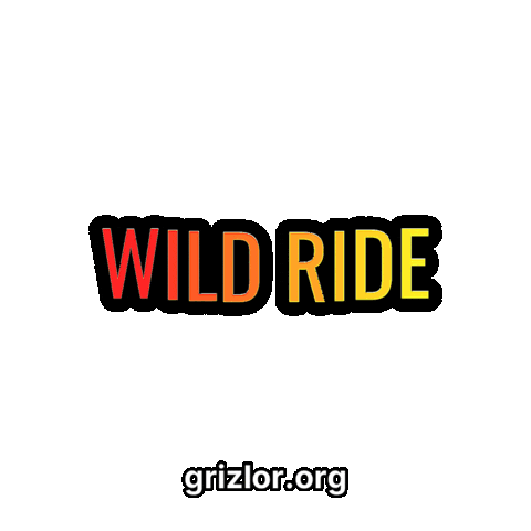Wild Ride Fun Sticker by grizlor