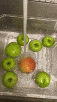 Satisfying Green Apple GIF by MonA Hayslett