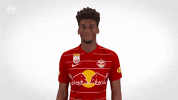 Red Bull Smile GIF by FC Red Bull Salzburg