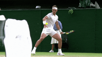 centre court tennis GIF by Wimbledon