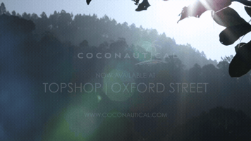 London Campaign GIF