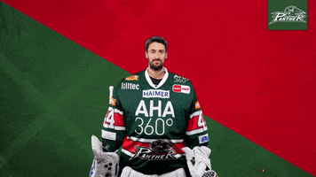 Del Aev GIF by Augsburger Panther Eishockey GmbH