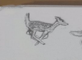 Drawing Isabel GIF by cam