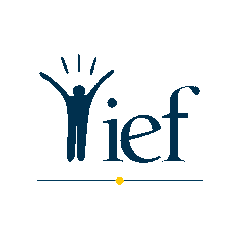 IEFstrasbourg Sticker