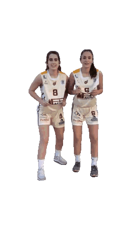 Club Baloncesto Alcobendas Sticker