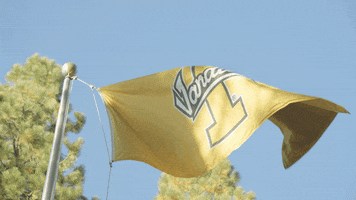 Game Day College GIF by University of Idaho