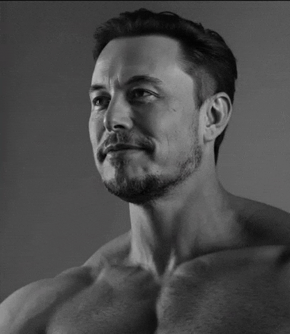 Doge Tesla GIF by Gigachad