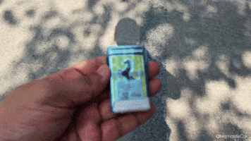 Driving Lets Go GIF by Namaste Car