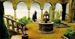 the lord of the rings sam GIF