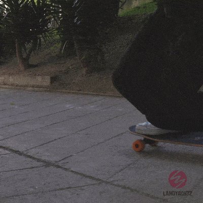 Skateboard GIF by Landyachtz