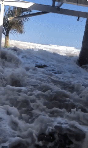 South Africa Wave GIF by Storyful