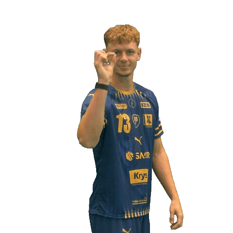 Pontault Pchb Sticker by Pontault-Combault Handball