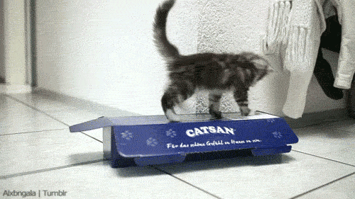 box