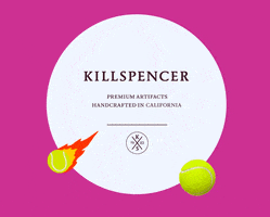 Smash Denis Shapovalov GIF by Killspencer
