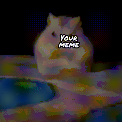 The Void Hamster GIF