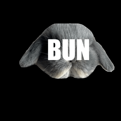 Bunny GIF