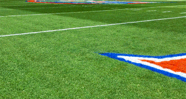 football field paint GIF by University of Florida