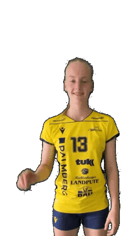 Schwerinersc Sticker by SSCPalmbergSchwerin