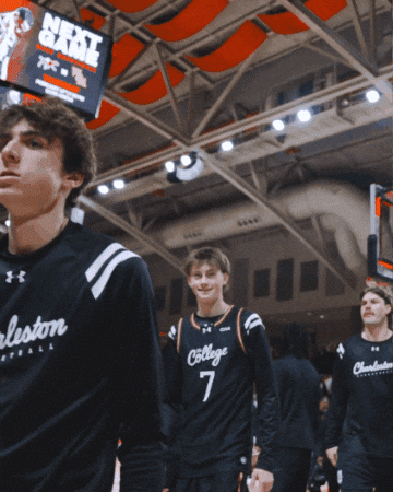 College Of Charleston Cougars GIF by Charleston Basketball