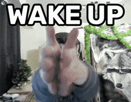 Yelling Good Morning GIF