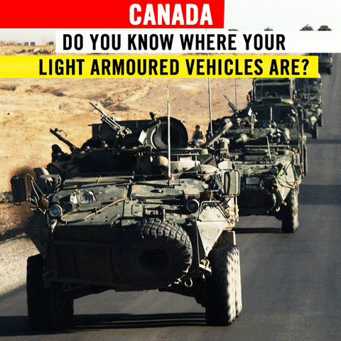 igasparamnestyca  GIF