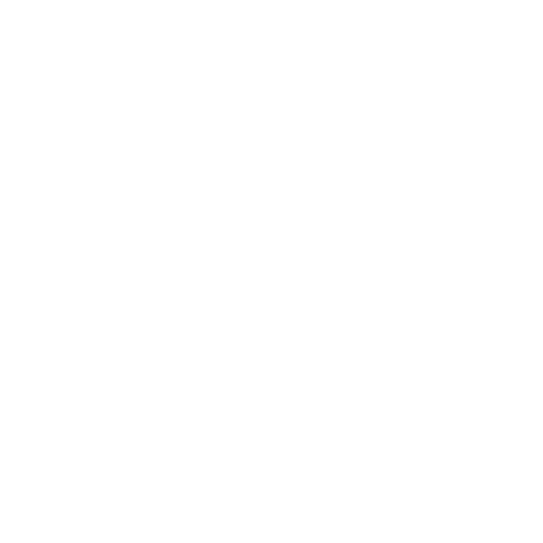 Snp Sticker by SNPADEL