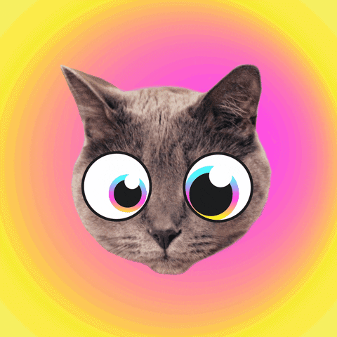 Video gif. Cat with cartoon big eyes that look like googly eyes on a rainbow burst background. We zoom out and see eight other copies of that cat. All their eyes cross outward.