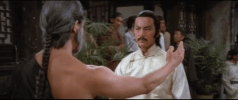 Martial Arts Film GIF by Shaw Brothers