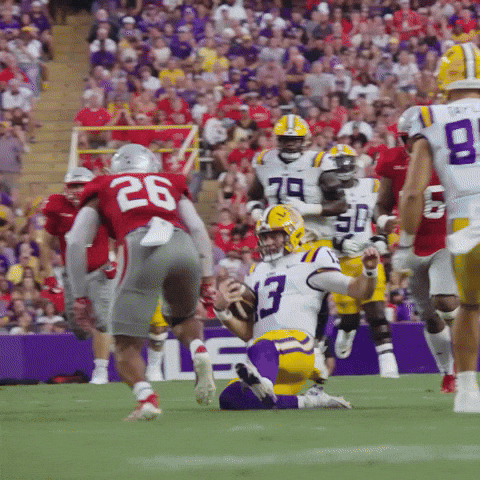 Lsu Football Celebration GIF by LSU Tigers