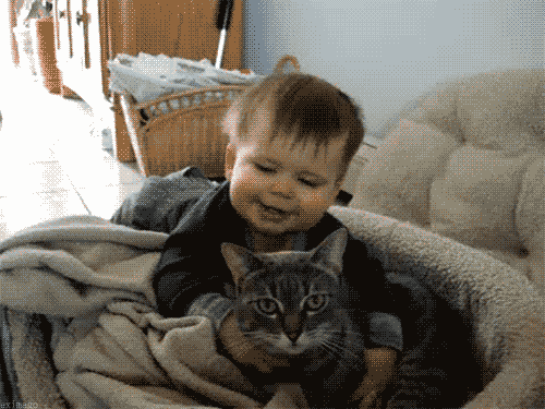 giphy.gif?cid=790b7611f44bc205136b7d202c