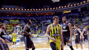 excited final four GIF by EuroLeague