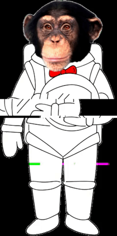 GIF by Bigbang Digital monkeys